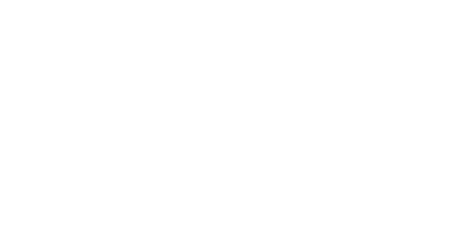 IBIZA Consultores · Conocimientos y experiencia